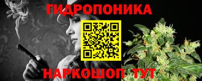 СК Дубна