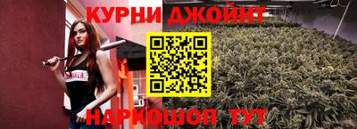 СК Дубна