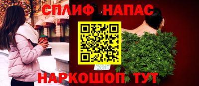 СК Дубна
