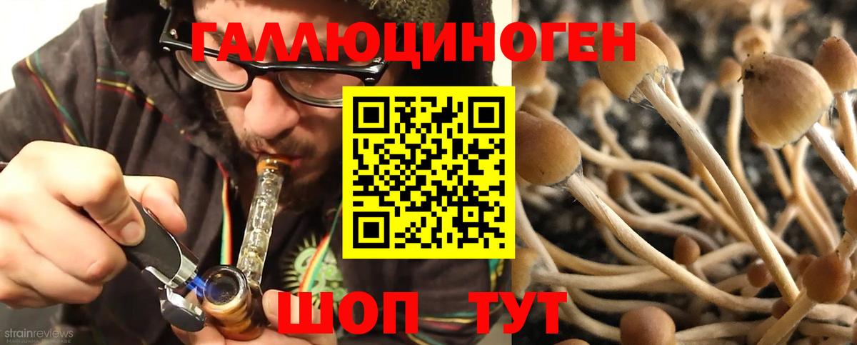 Майкоп  Псилоцибиновые грибы Magic Shrooms  Вход с VPN  Галлюциногенные грибы MAGIC MUSHROOMS 