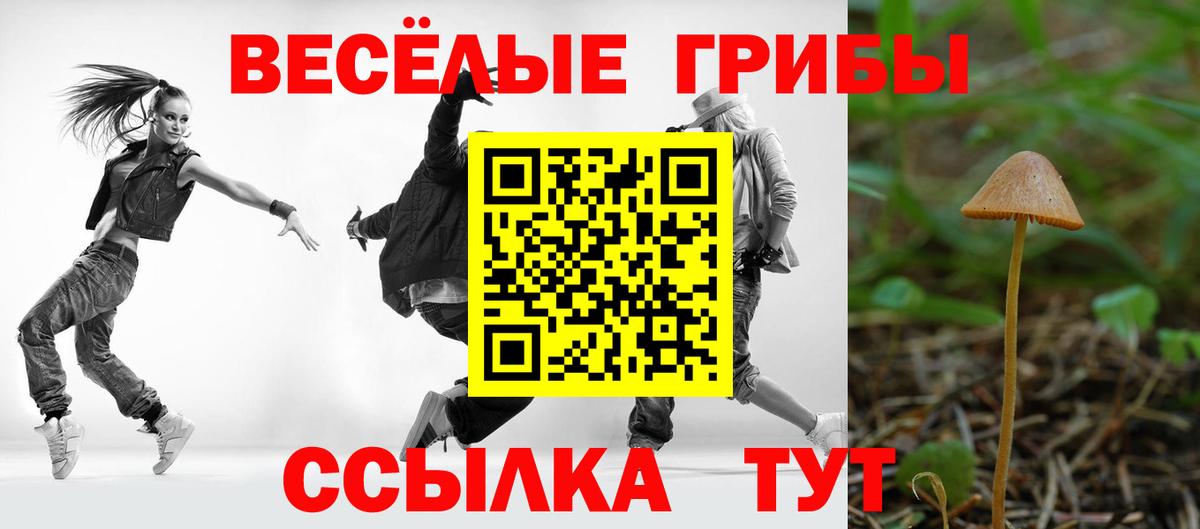 Галлюциногенные грибы прущие грибы Майкоп